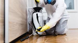 Best Pest Prevention Services  in Basin, WY